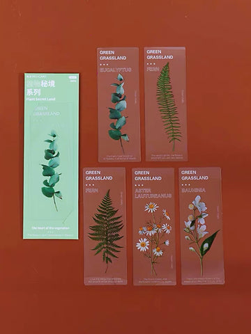 A Box Of Natural Plant Transparent Bookmark
