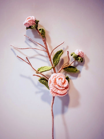 Camellia 1