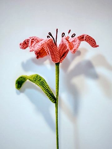 Lily 2