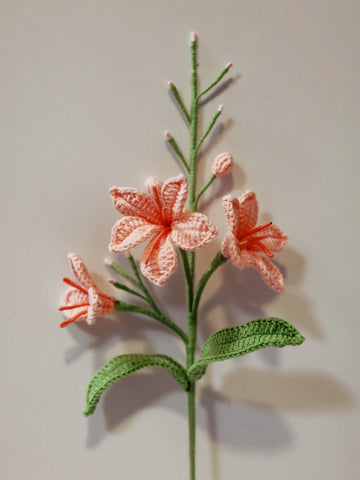 Martian Orchid with 3 flowers