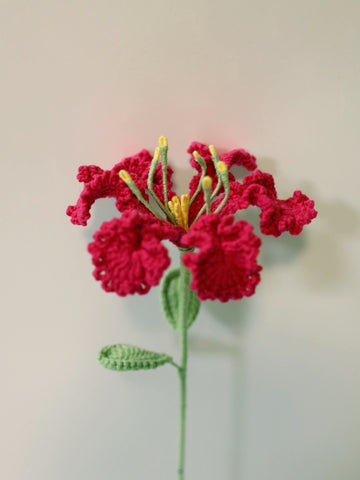 Crape Myrtle