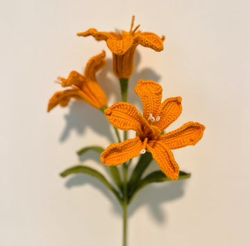 Multi Headed Lily