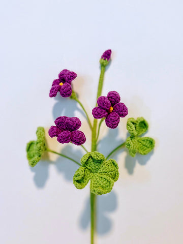 Four Leaf Clover Flower