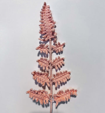Peduncle leaf