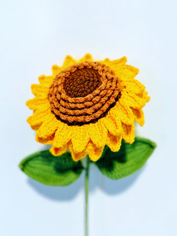 Sunflower with 2 layered petals