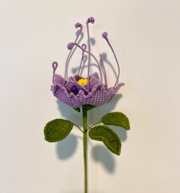 Dendrobium