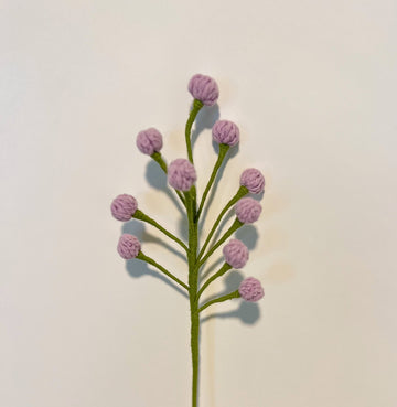 Berry 1