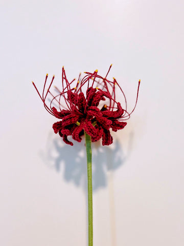 Red Spider Lily