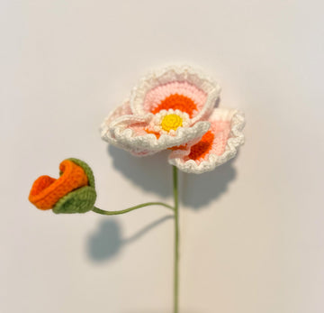 Corn Poppy with a bud