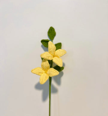 Forsythia with 2 flowers
