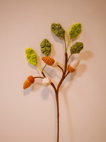 Acorn