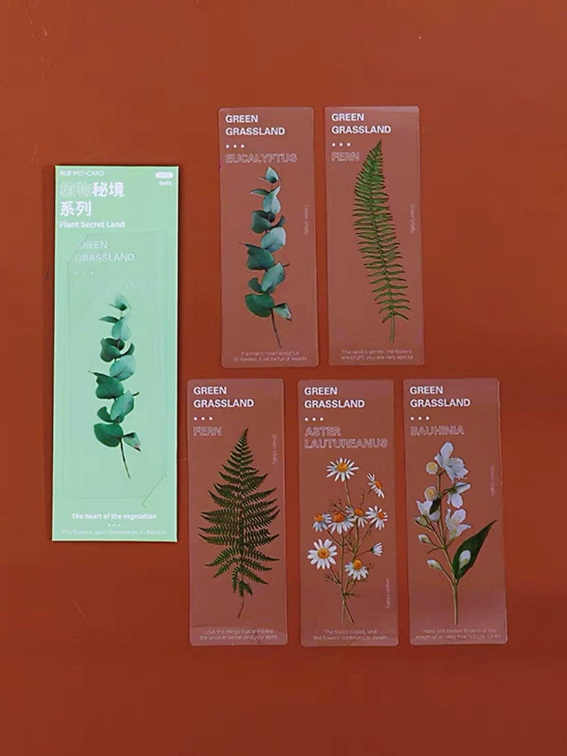 A Box Of Natural Plant Transparent Bookmark