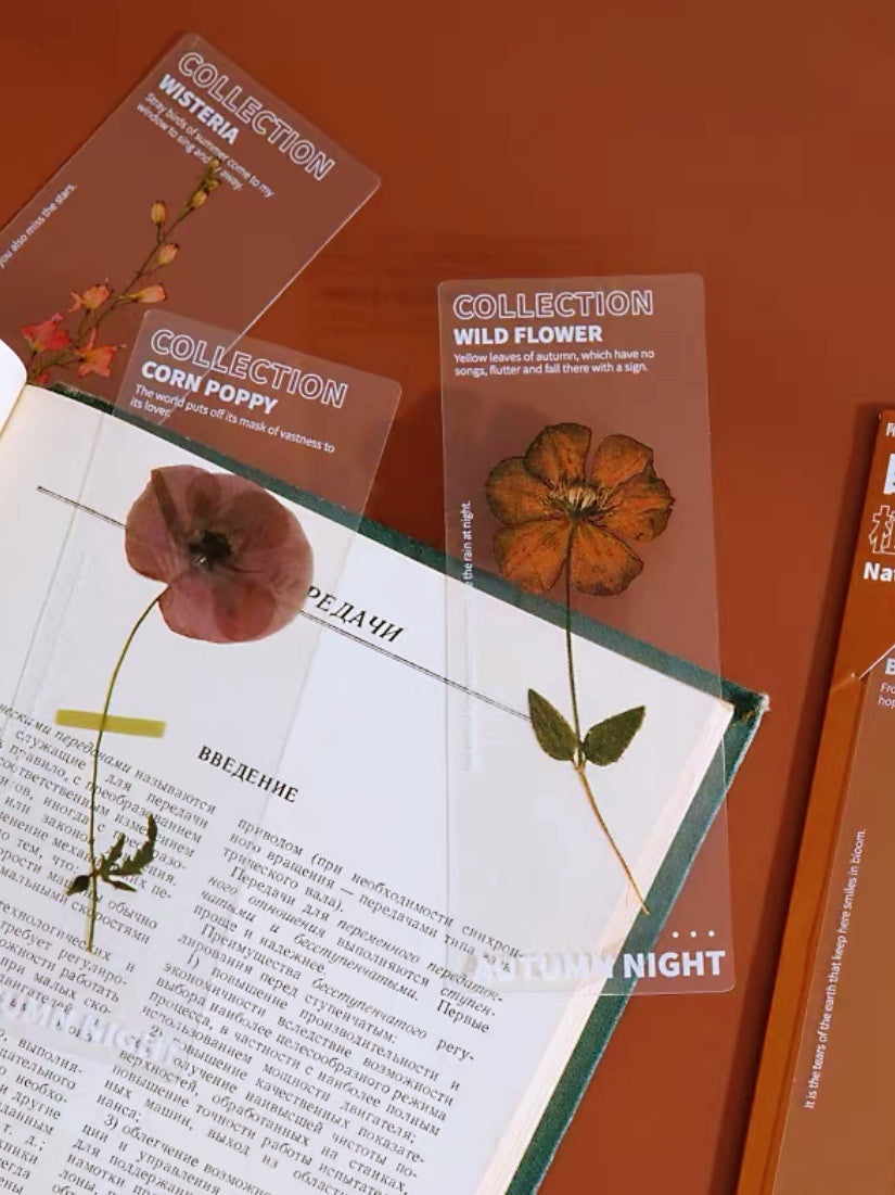 A Box Of Natural Plant Transparent Bookmark