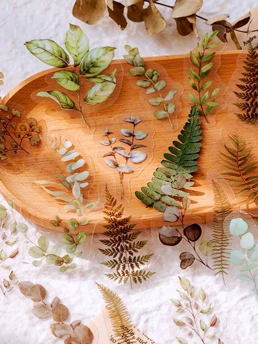 Plant Nature Series Stickers
