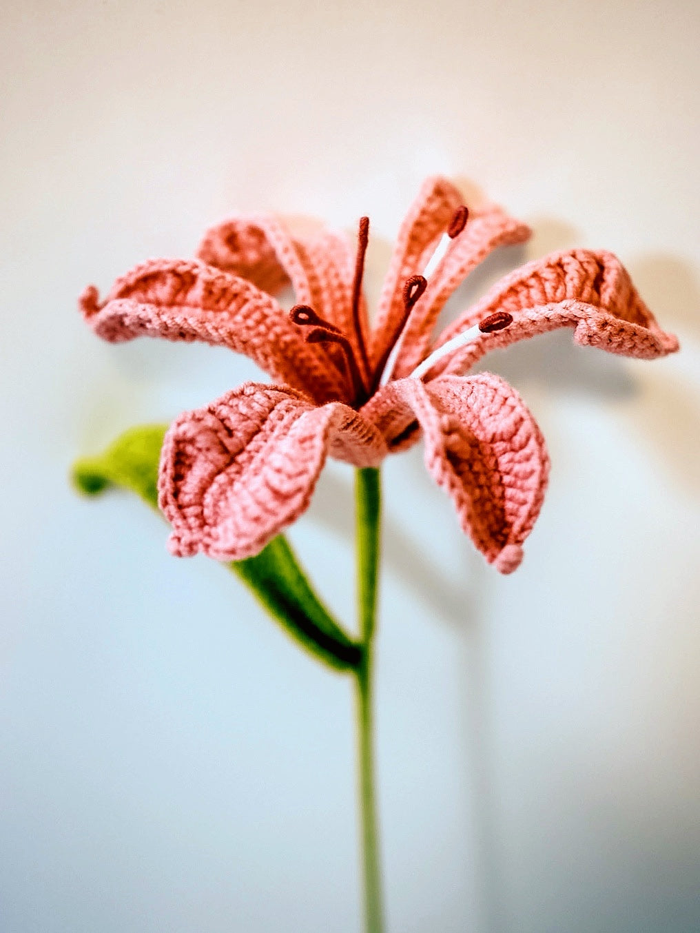 Lily 2