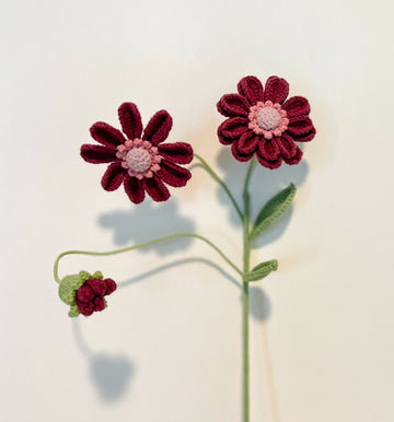 Multi-headed Chrysanthemum (one is two layers, the other one is one layer)