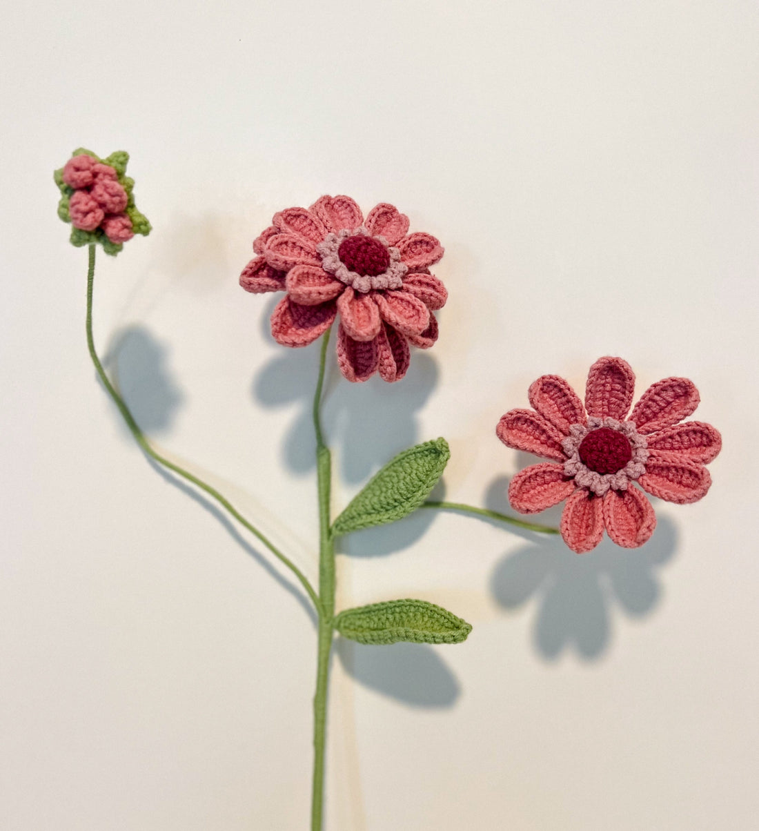 Multi-headed Chrysanthemum (one is two layers, the other one is one layer)