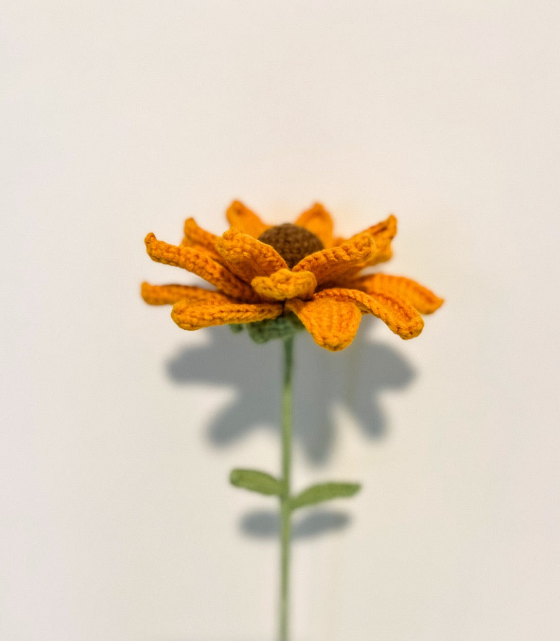 Lavender Chrysanthemum