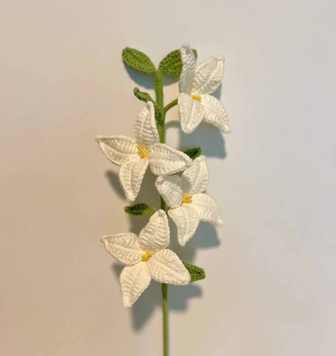 Forsythia with 4 flowers