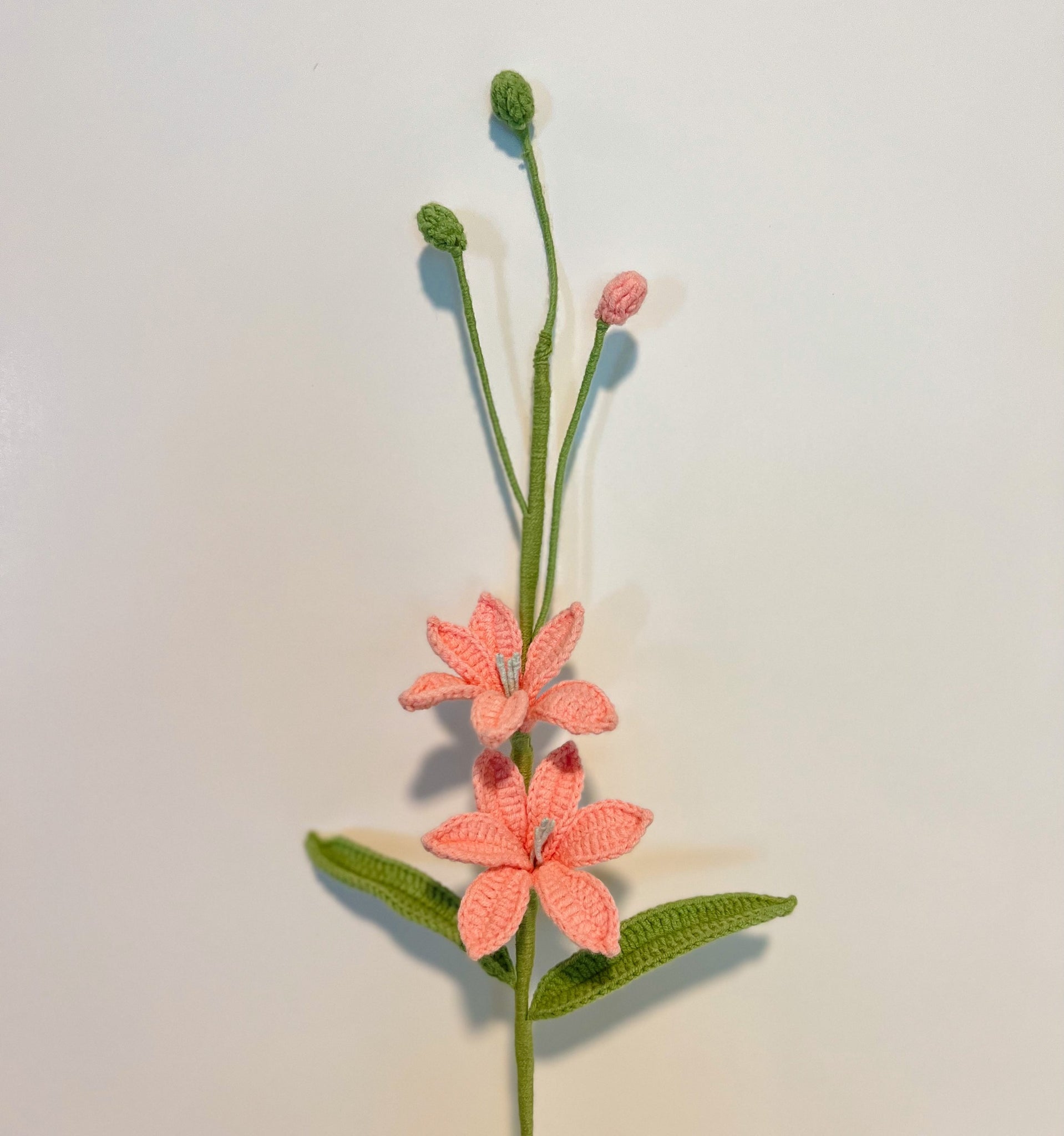 Martian Orchid with 2 flowers