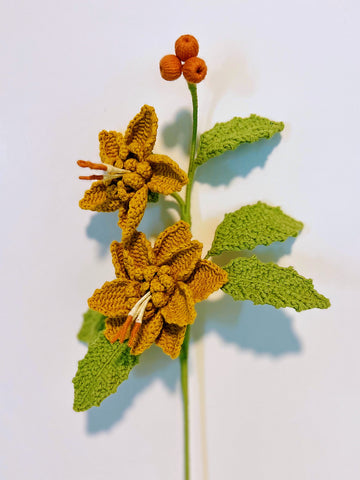 Hellebore