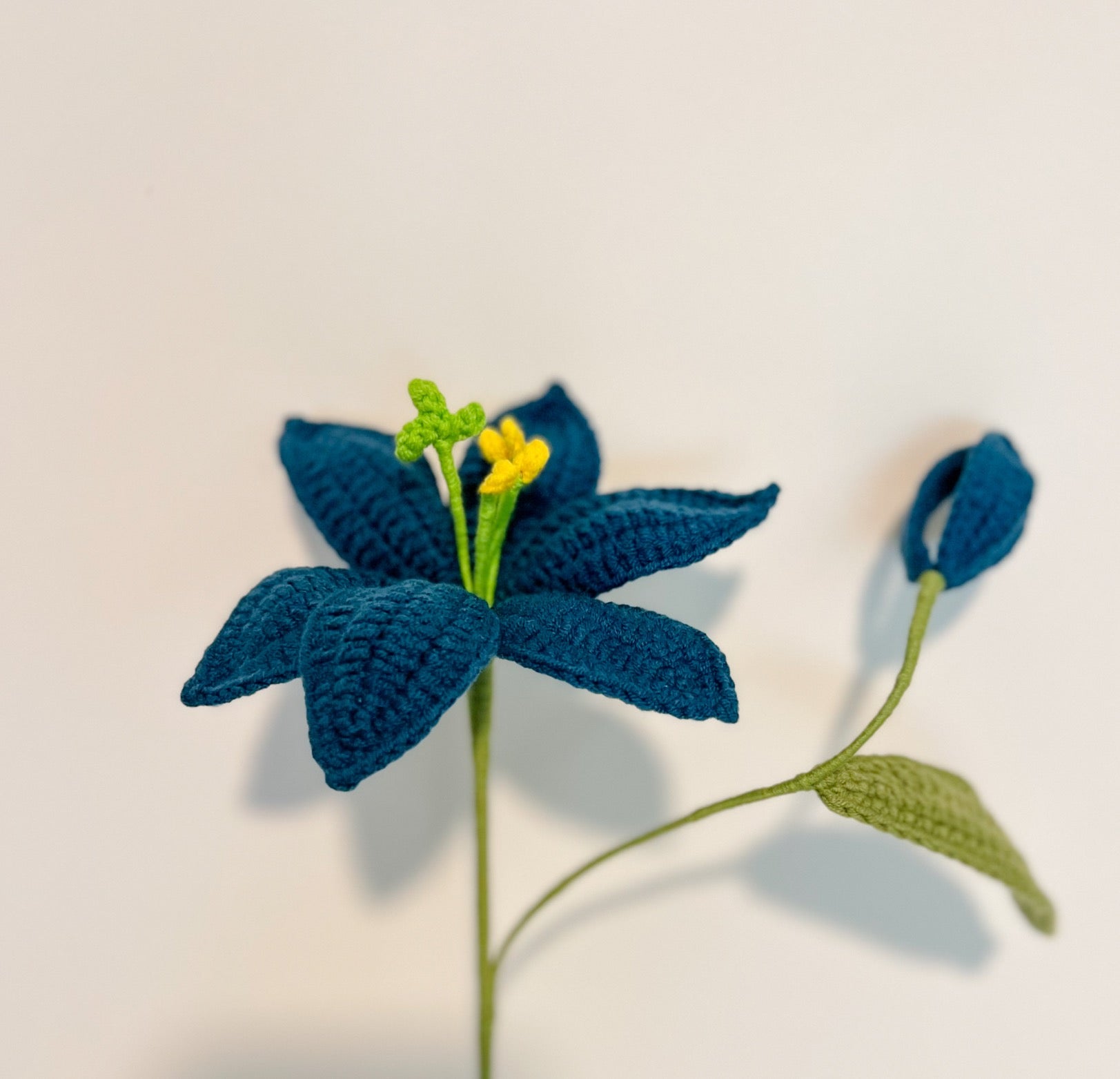 Lily 1 with a bud