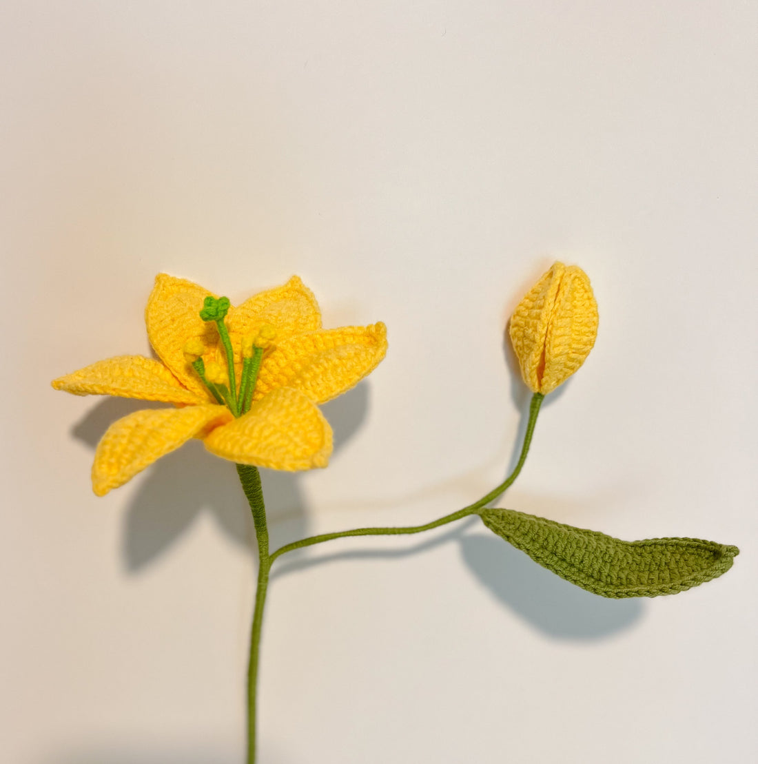 Lily 1 with a bud