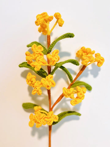 Fragrans