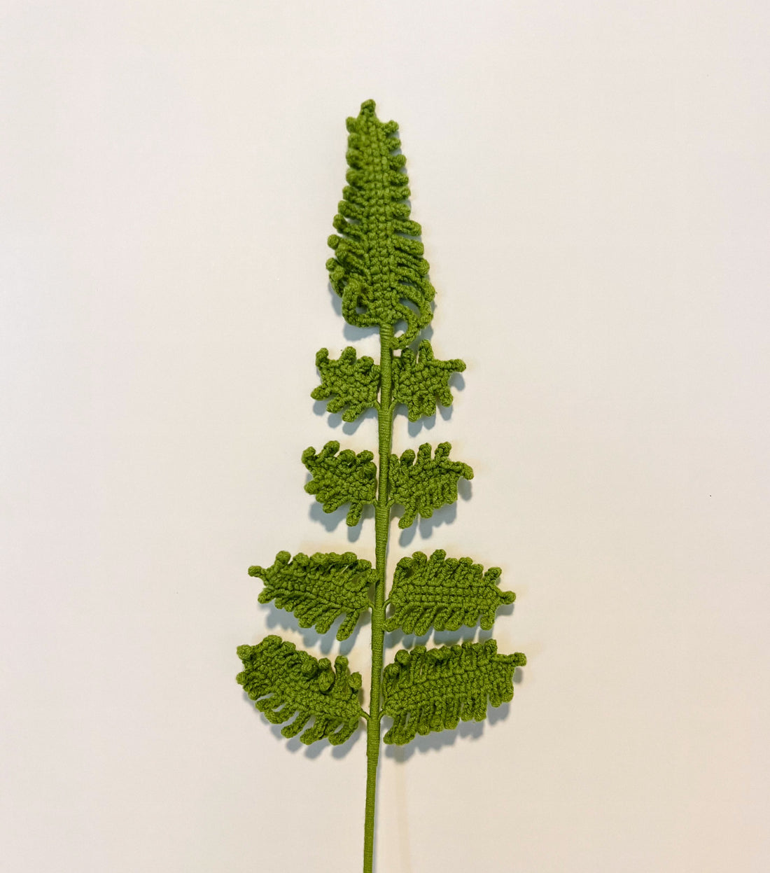 Peduncle leaf