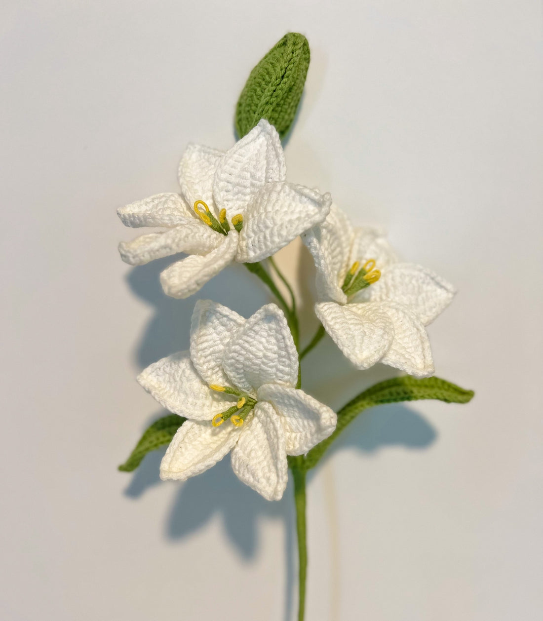 Multi-headed Tone Lily