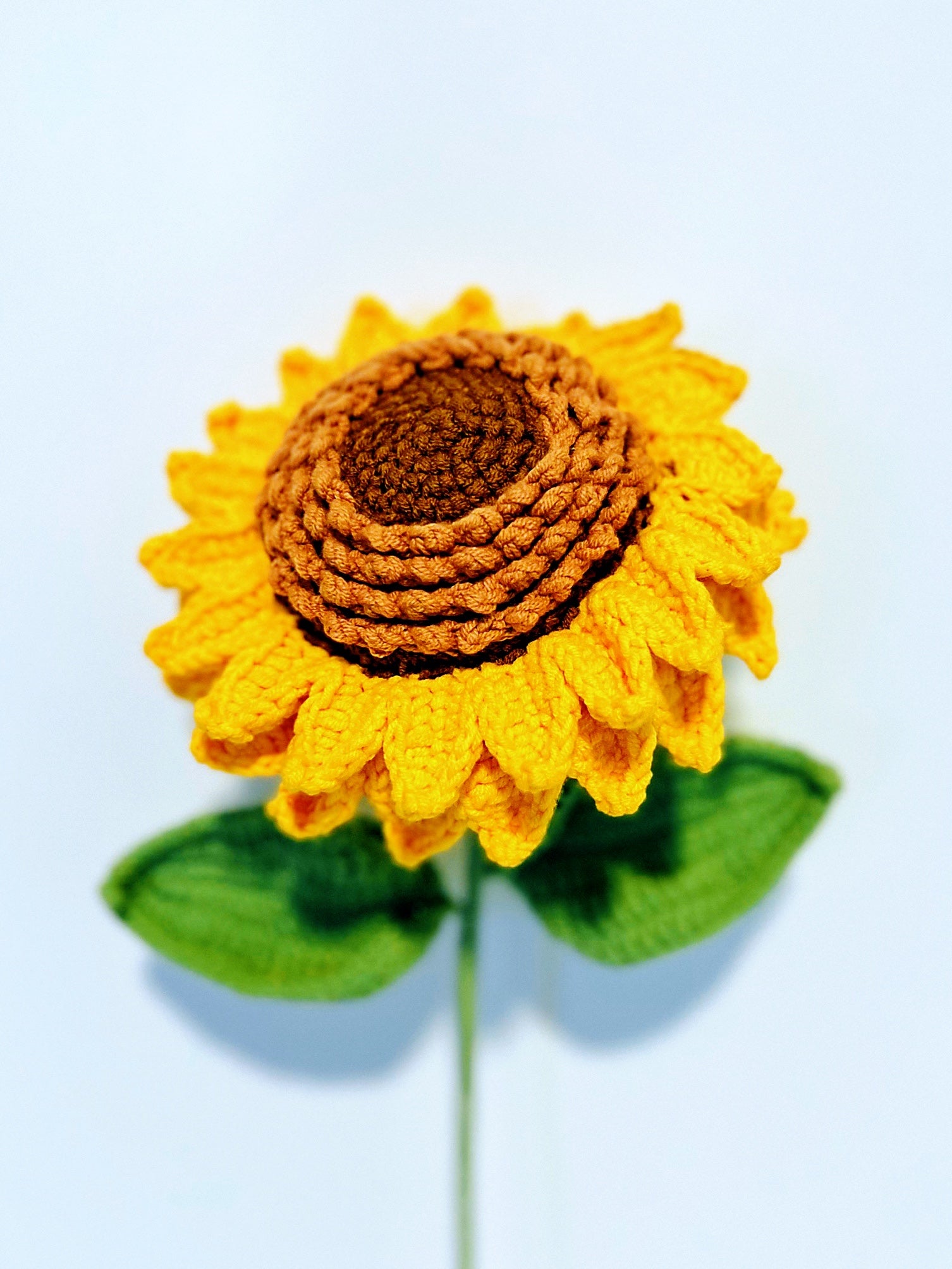 Sunflower with 2 layered petals