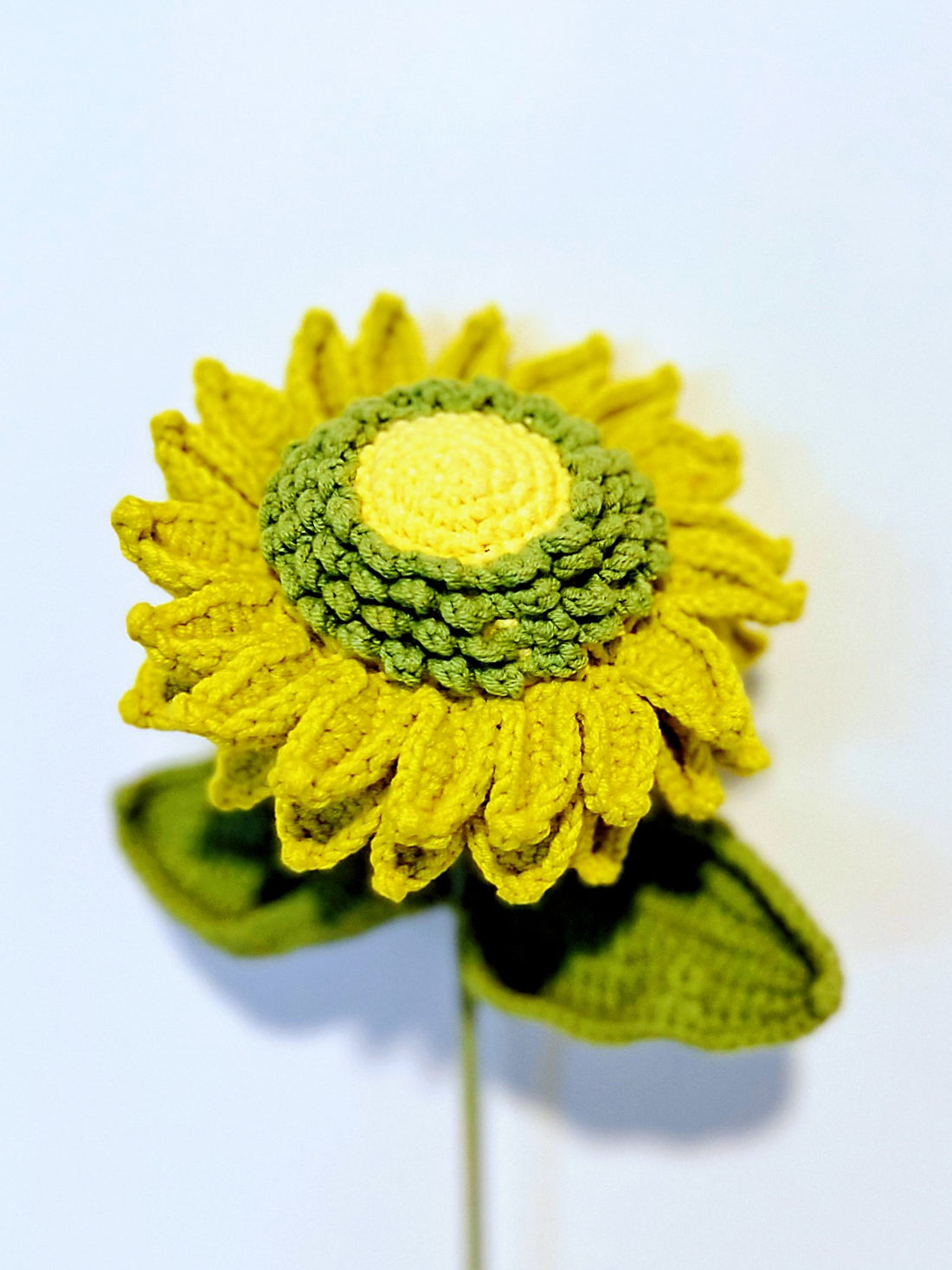 Sunflower with 2 layered petals