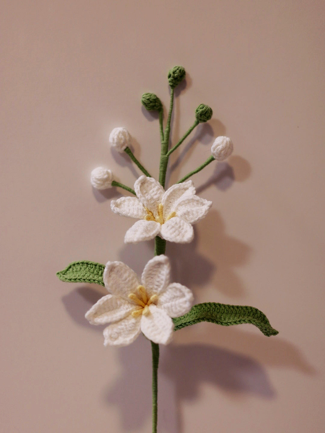 Martian Orchid with 2 flowers