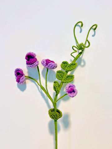 Pea Flower
