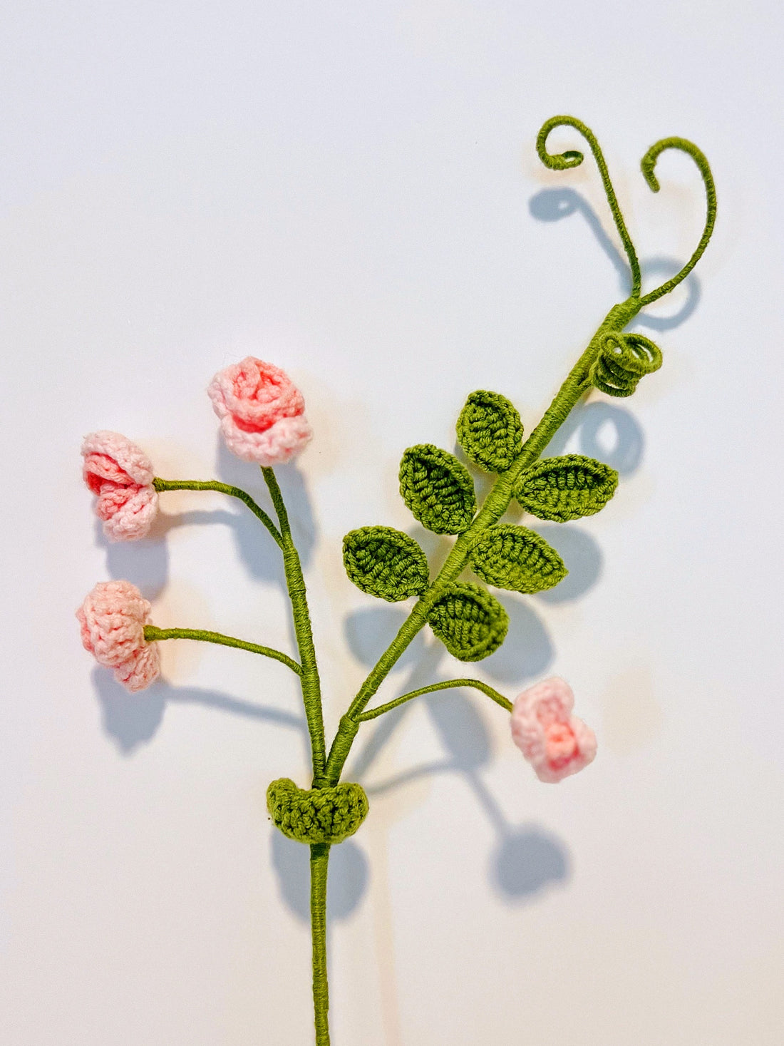 Pea Flower
