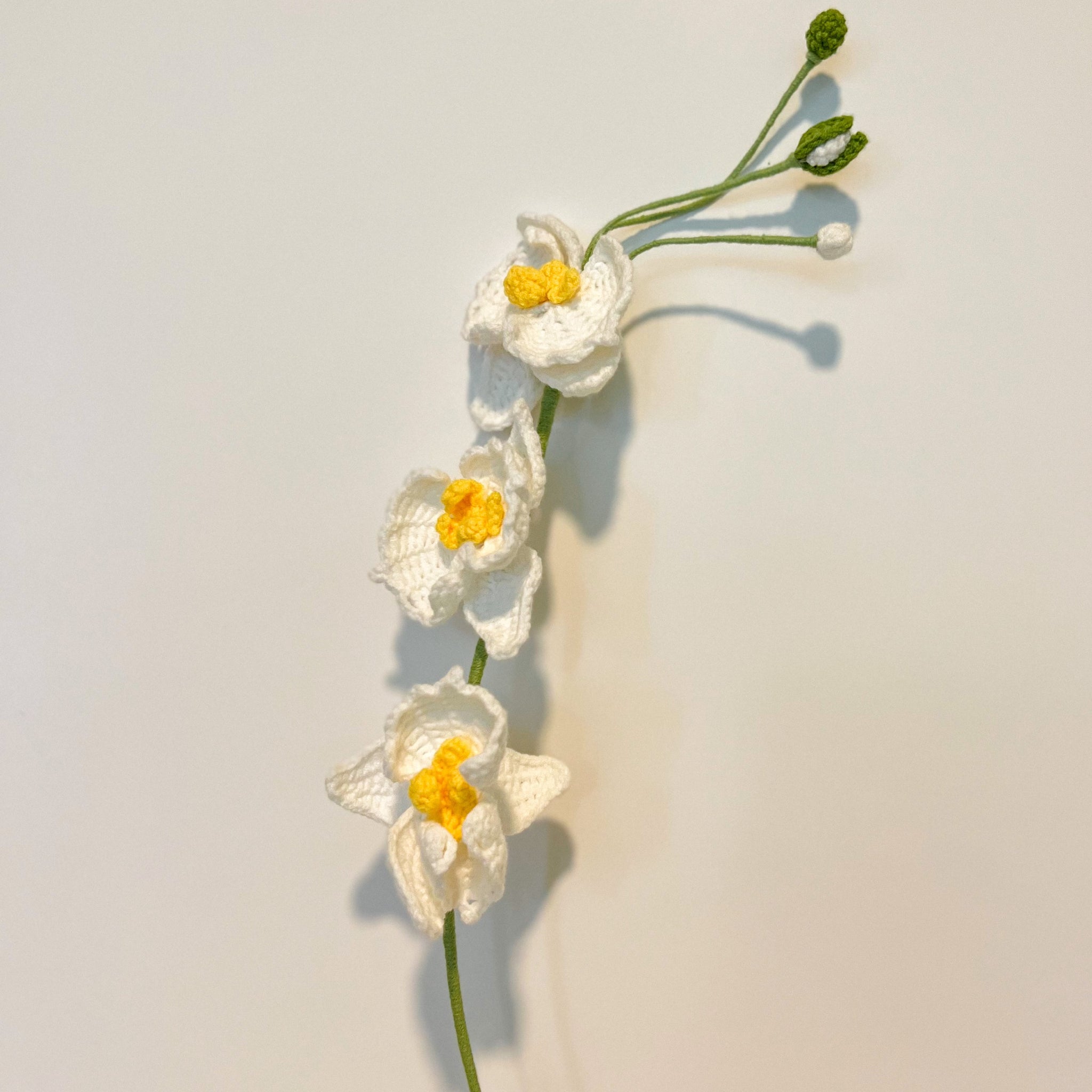 Orchid (single, two, three flowers)