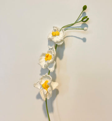 Orchid (single, two, three flowers)