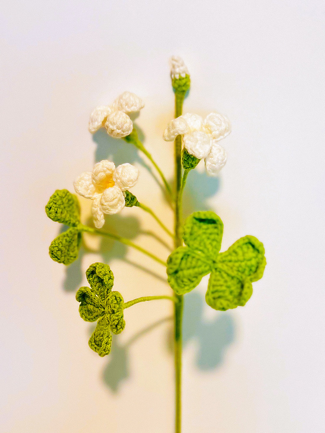Four Leaf Clover Flower