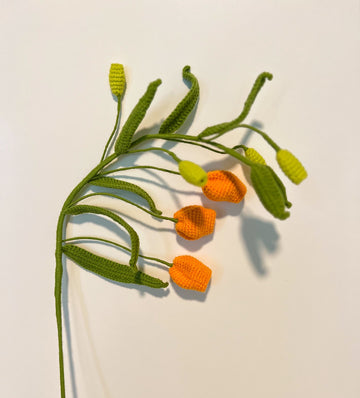 Sandersonia