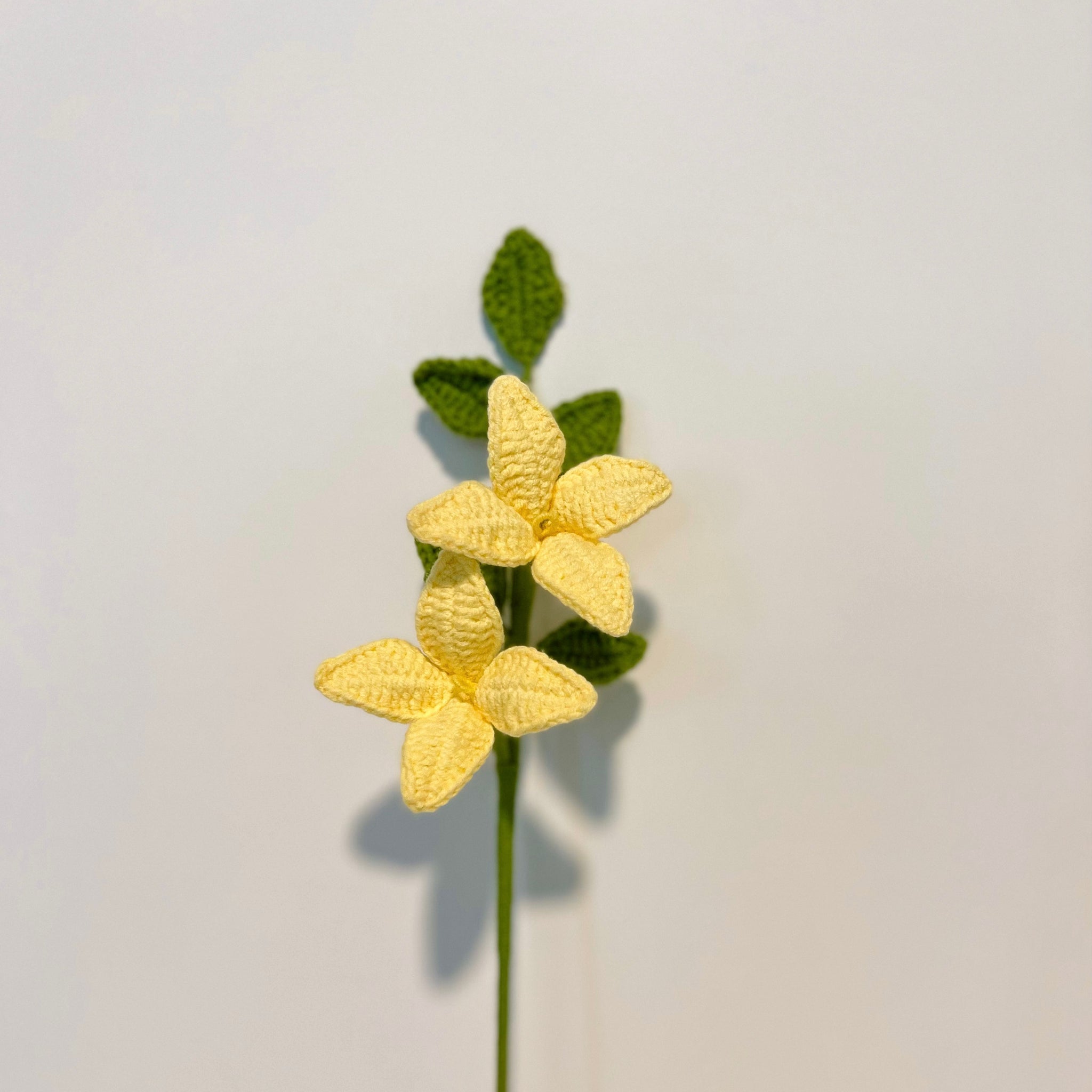Forsythia with 2 flowers