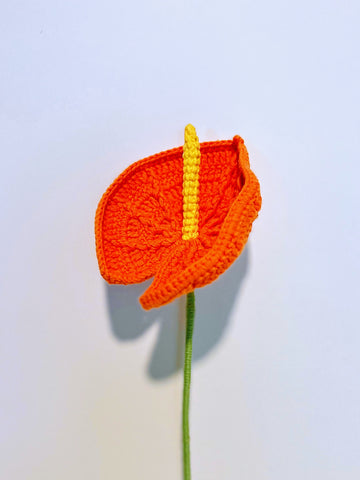 Big Calla Lily