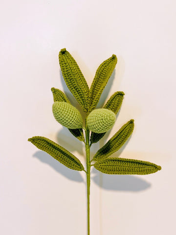 Olive Brach