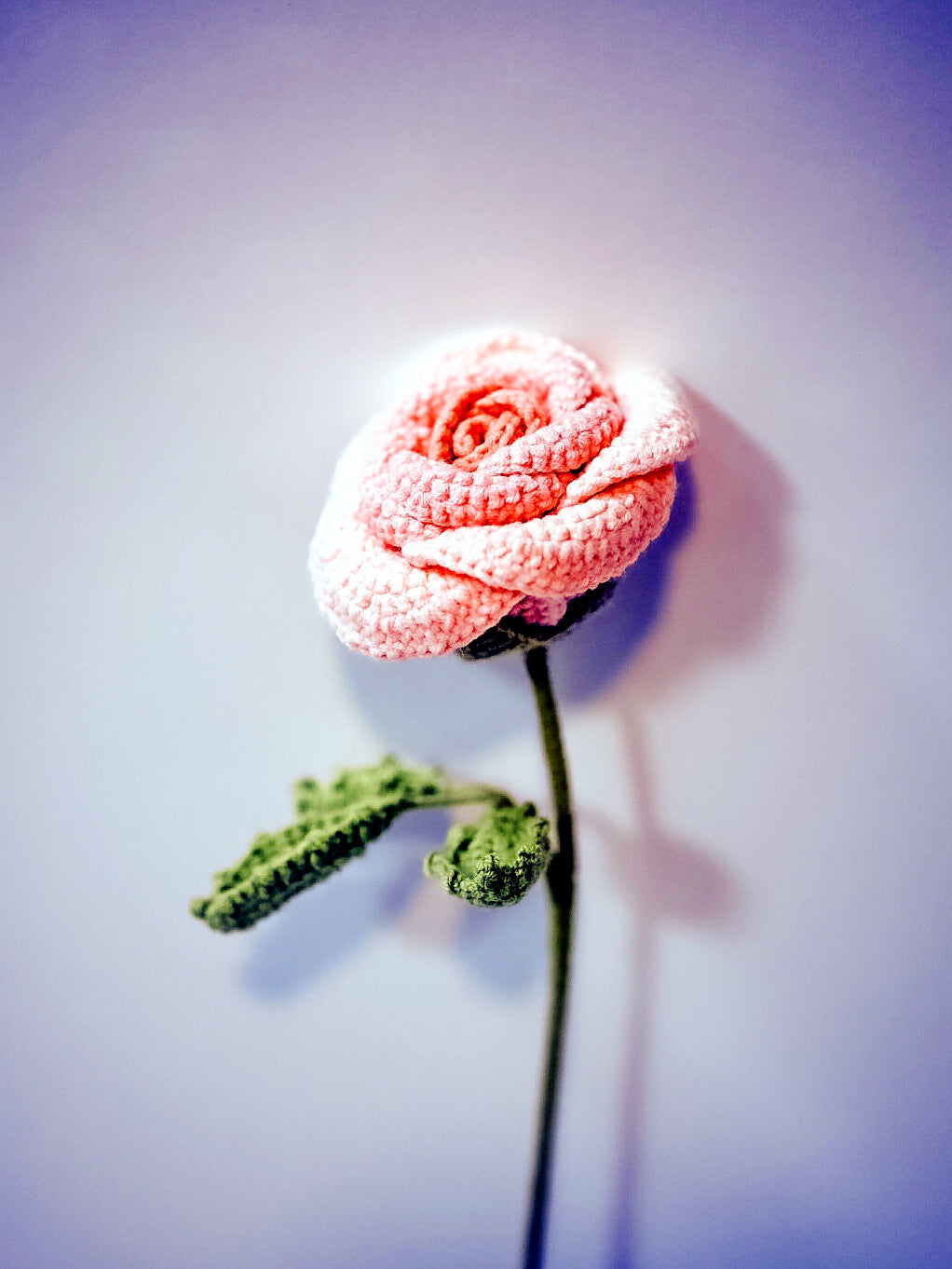 Rose 2 ( seveeral delicate styles )