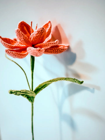 Gardenia